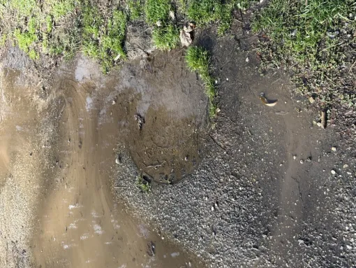 Débouchage d une source qui alimente une boutasse à Saint Quentin Fallavier, Vaulx-Milieu, JP ASSAINISSEMENT