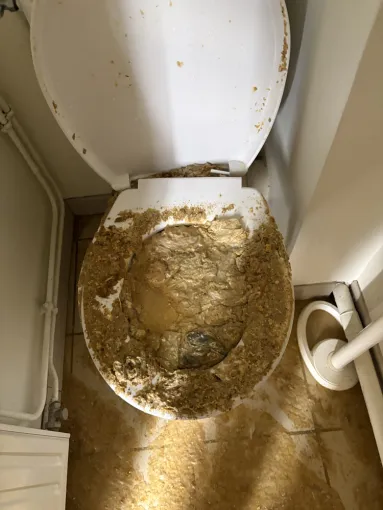 débouchage d une canalisation wc dans une cure à Colombier Saugnieu