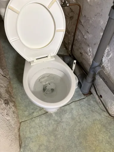 débouchage d une canalisation wc et évacuation objet bloquer dans une agence immobilière à Montalieu