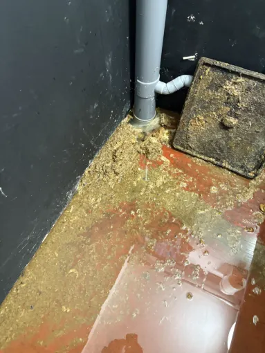 débouchage  da une canalisation wc dans une concession auto à Bourgoin Jallieu