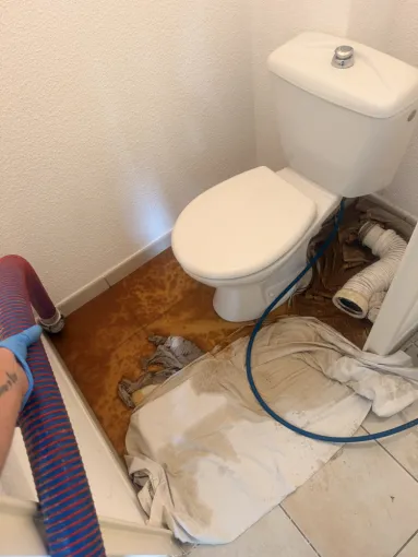 débouchage canalisation wc dans un appartement à Saint jean de Bournay
