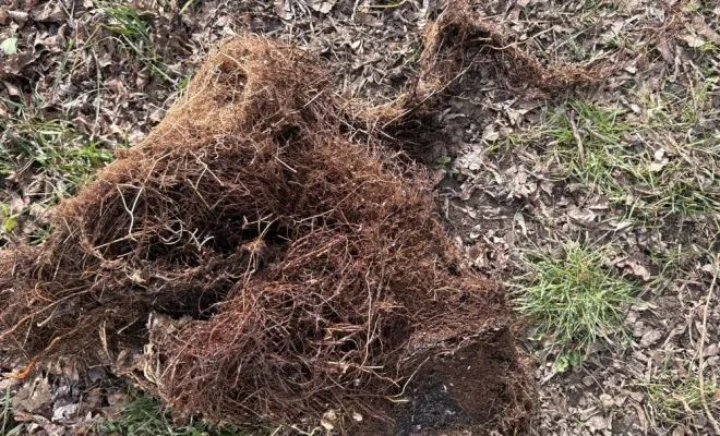 Débouchage des canalisations dans un centre médicale à Villefontaine, Vaulx-Milieu, JP ASSAINISSEMENT