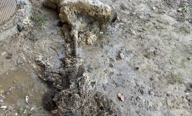Débouchage d une colonne eu de copro à L'Isle d'Abeau, Vaulx-Milieu, JP ASSAINISSEMENT