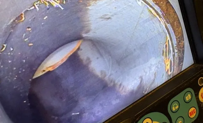 Détartrage canalisation wc et découpe d une racine avec robot picot à Saint Jean de Bournay, Vaulx-Milieu, JP ASSAINISSEMENT