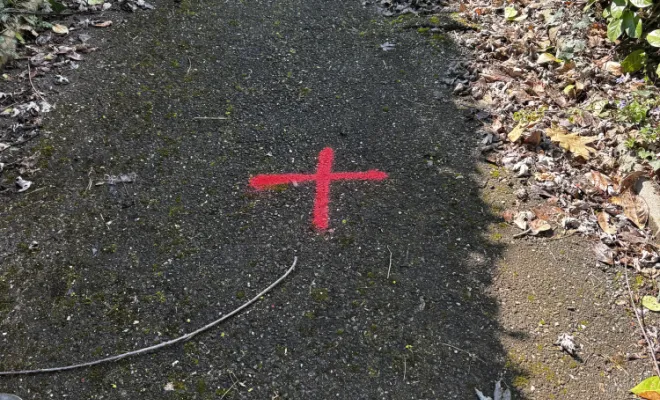 débouchage d un réseau eu dans un lotissement à Saint Jean de Bournay