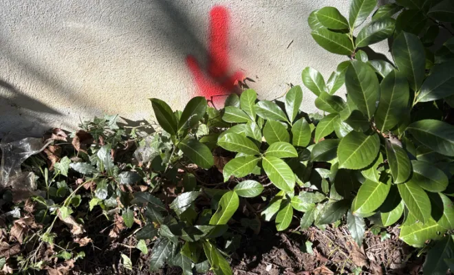 débouchage canalisation wc dans une banque et localisation du problème à la Verpillière