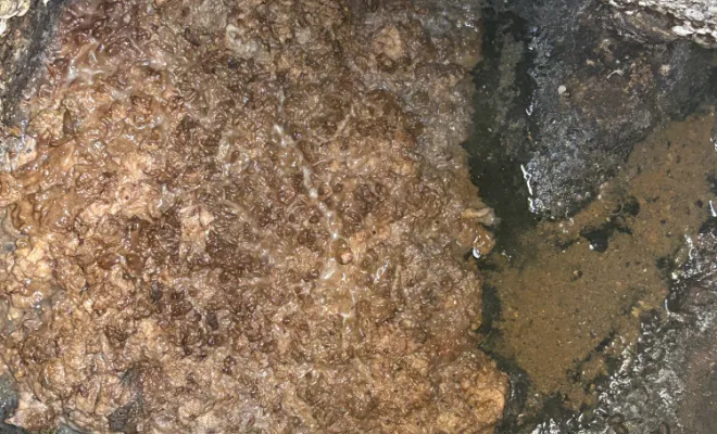 débouchage de canalisation wc à Valencin