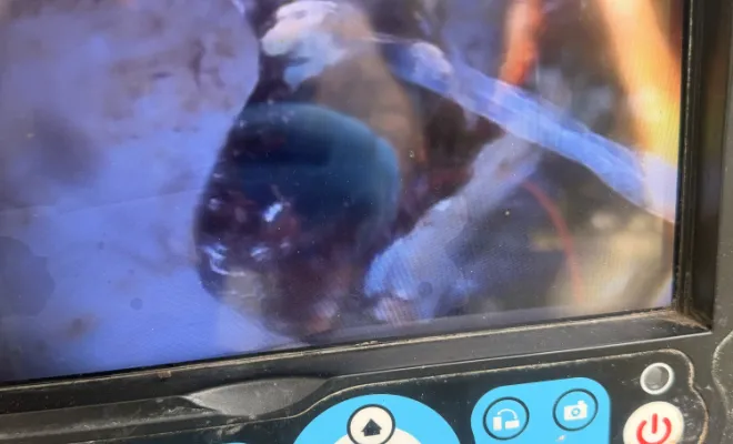 débouchage colonne wc dans un bâtiment et découpe d une racine gênante à Domarin