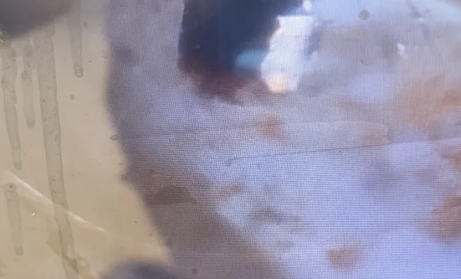 débouchage colonne wc dans un bâtiment et découpe d une racine gênante à Domarin