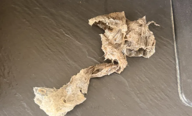 débouchage canalisation évier avec furet mécanique à chaine dans un appartement à Estrablin