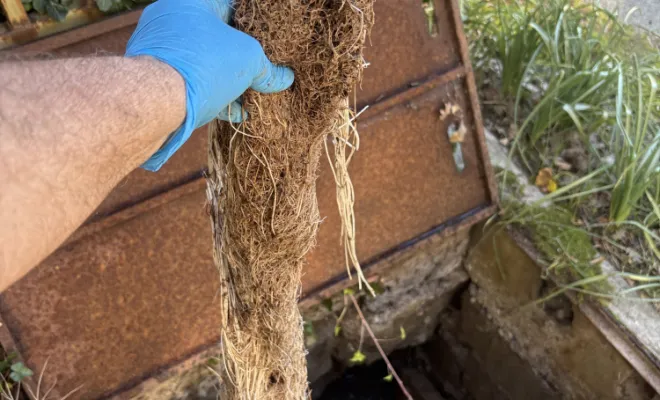 débouchage d une canalisation source à Crachier