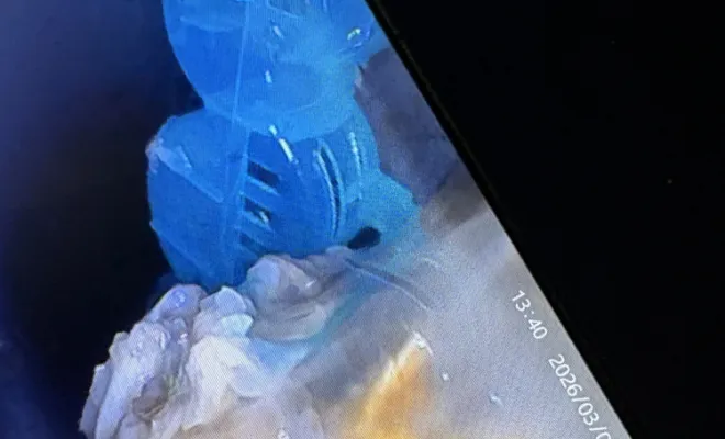 débouchage d une canalisation wc et évacuation objet bloquer dans une agence immobilière à Montalieu