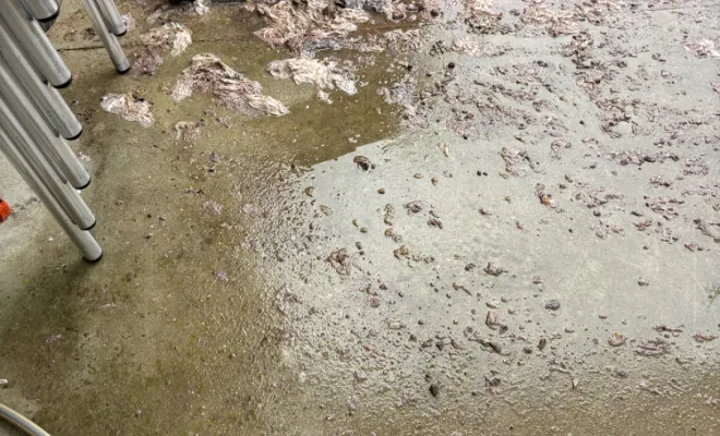 vidange et nettoyage d une fosse toutes eaux pour entretien à Saint Agnin sur Bion