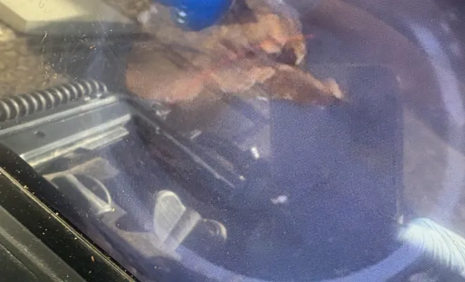 debouchage canalisation cuisine et inspection vidéo pour localisation de fosse à Ruy Montceau