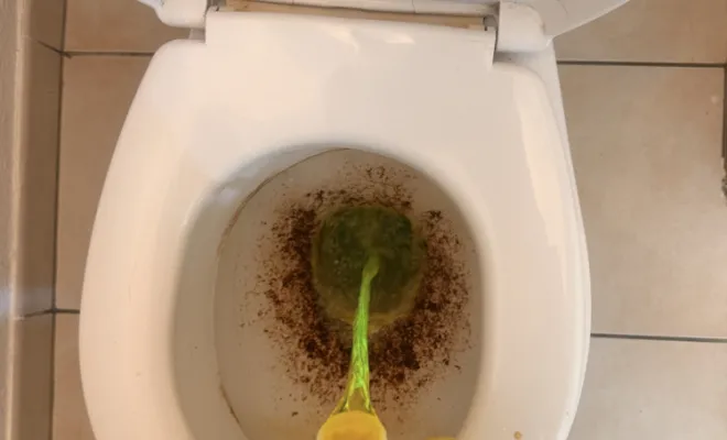 débouchage canalisation wc dans un appartement à Saint jean de Bournay