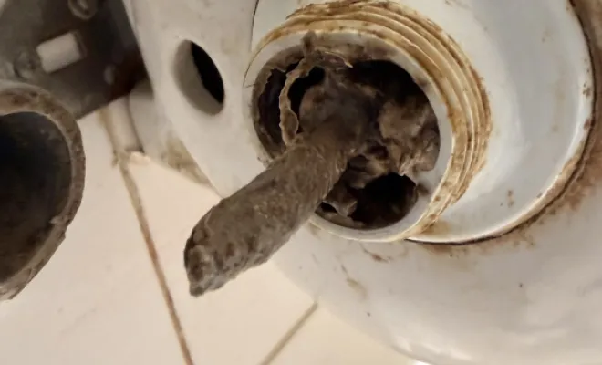 détartrage canalisation urinoir dans une entreprise de transport à Valencin