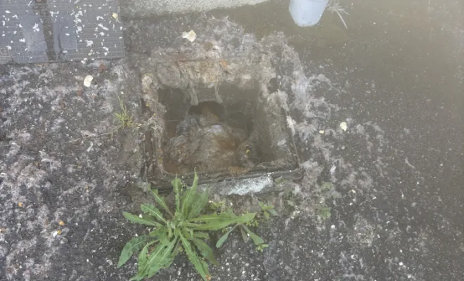 débouchage d'un regard eaux usées dans une copropriété à Saint Georges d'Espéranche
