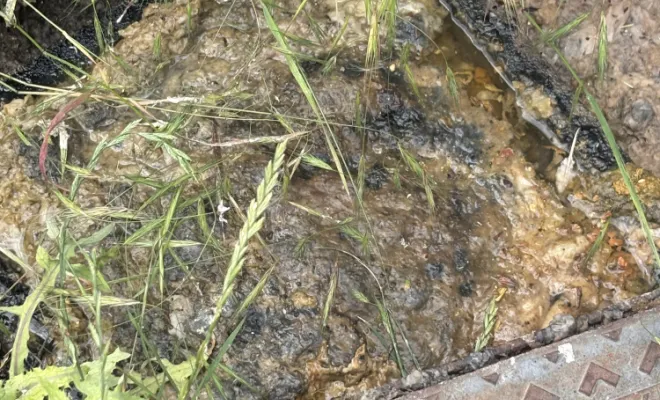vidange et nettoyage d une fosse toutes eaux à Sainte-Anne-sur-Gervonde