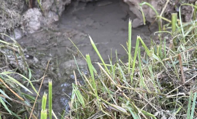 détartrage avec tete vibrante sur réseau de source à Siccieu-saint-Julien