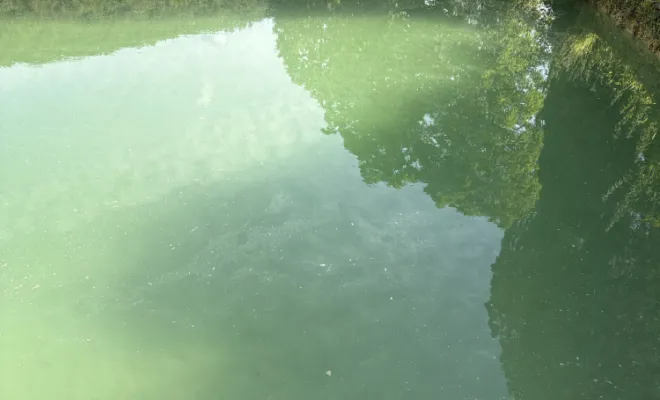 détartrage avec tete vibrante sur réseau de source à Siccieu-saint-Julien