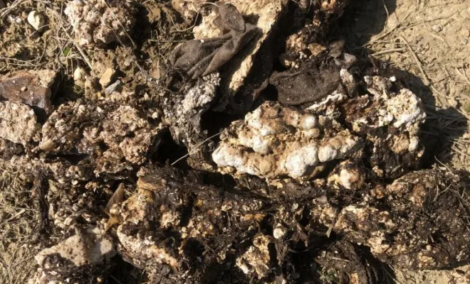 Curage drain à Roche, Vaulx-Milieu, JP ASSAINISSEMENT