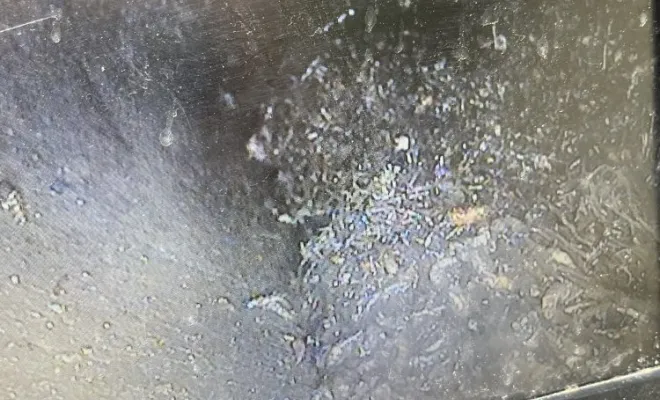 Débouchage canalisation eu avec inspection video et arrache racine à Luzinay, Vaulx-Milieu, JP ASSAINISSEMENT