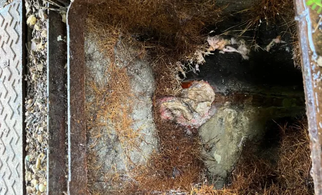 Débouchage canalisation wc dans une copropriété à Tignieu, Vaulx-Milieu, JP ASSAINISSEMENT