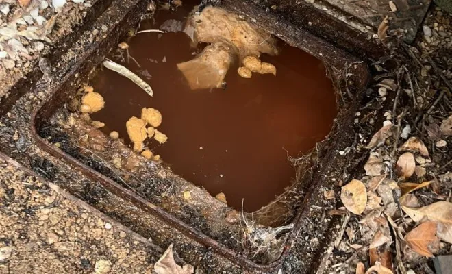 Débouchage canalisation wc dans une copropriété à Tignieu, Vaulx-Milieu, JP ASSAINISSEMENT