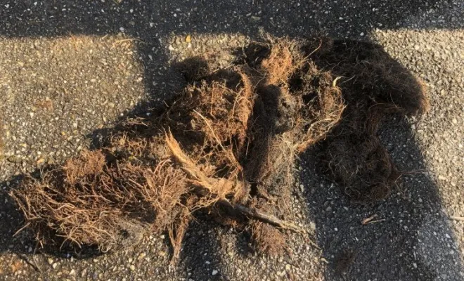 Débouchage curage canalisation enraciné passage camera pour verification chez un particulier à Septeme, Vaulx-Milieu, JP ASSAINISSEMENT