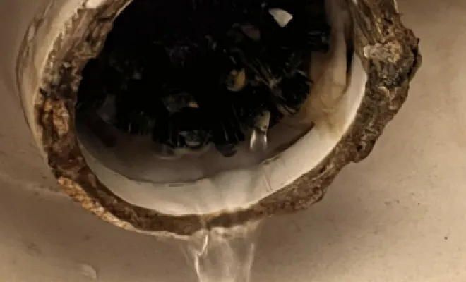 Débouchage d'une canalisation wc dans un rb and b à Port Groslée, Vaulx-Milieu, JP ASSAINISSEMENT