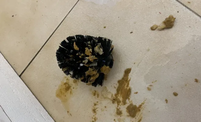 Débouchage d'une canalisation wc dans un rb and b à Port Groslée, Vaulx-Milieu, JP ASSAINISSEMENT