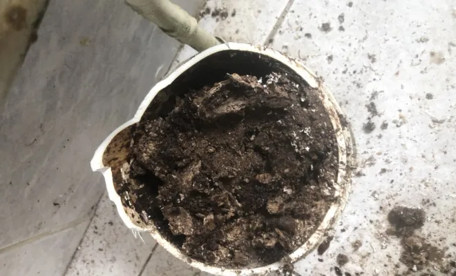 Débouchage détartrage d'une canalisation wc à Flosaille, Vaulx-Milieu, JP ASSAINISSEMENT