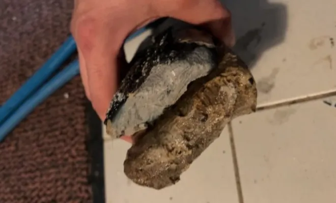 Détartrage canalisation avec robot de fraisage dans une canalisation wc à Sermérieu, Vaulx-Milieu, JP ASSAINISSEMENT