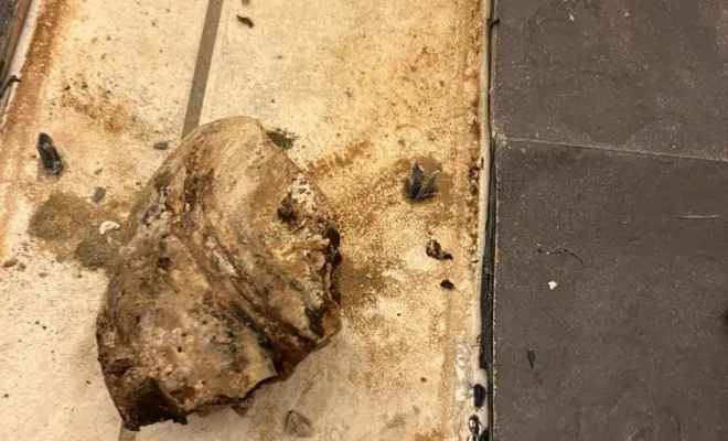 Détartrage d'une canalisation wc avec robot de fraisage à Châtonnay, Vaulx-Milieu, JP ASSAINISSEMENT