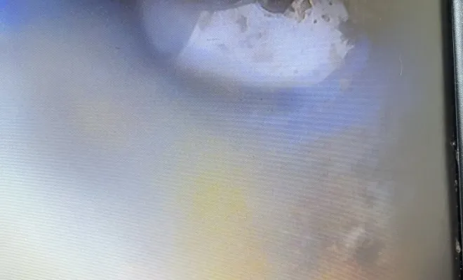 Inspection video d'une canalisation wc dans un bâtiment neuf à L'Isle d'Abeau, Vaulx-Milieu, JP ASSAINISSEMENT