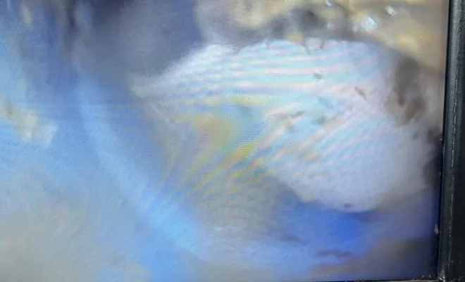 Inspection video d'une canalisation wc dans un bâtiment neuf à L'Isle d'Abeau, Vaulx-Milieu, JP ASSAINISSEMENT