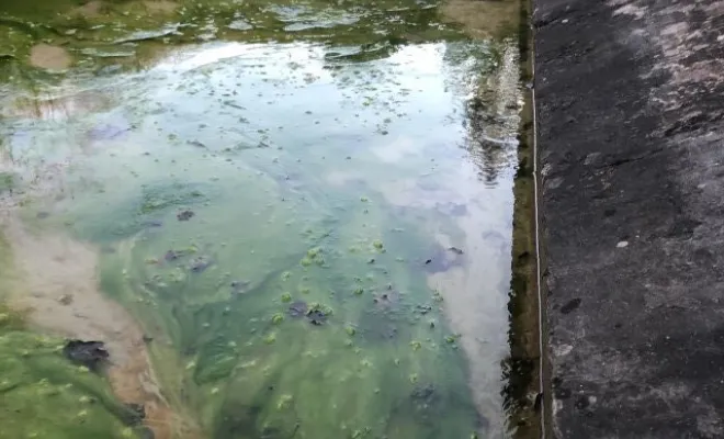 Nettoyage d'un lavoir à Vaulx-Milieu, Vaulx-Milieu, JP ASSAINISSEMENT