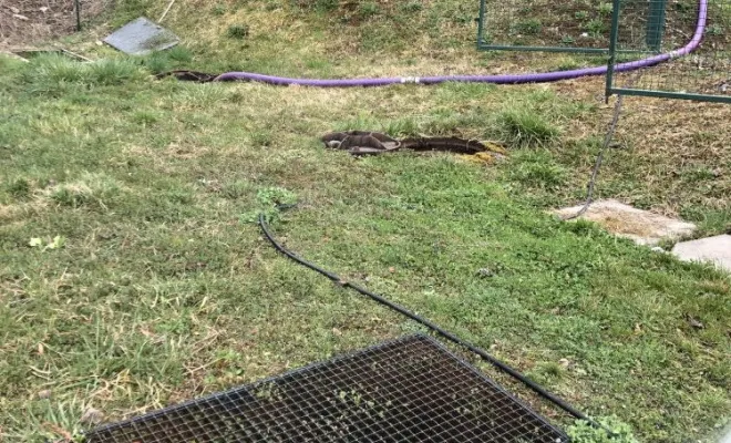 Nettoyage station d'épuration communale à Seillonnaz, Vaulx-Milieu, JP ASSAINISSEMENT