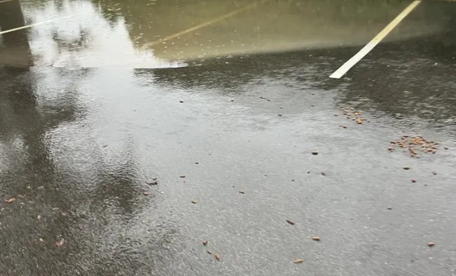 Pompage d eau en dans une cours pour inondation à Artas, Vaulx-Milieu, JP ASSAINISSEMENT