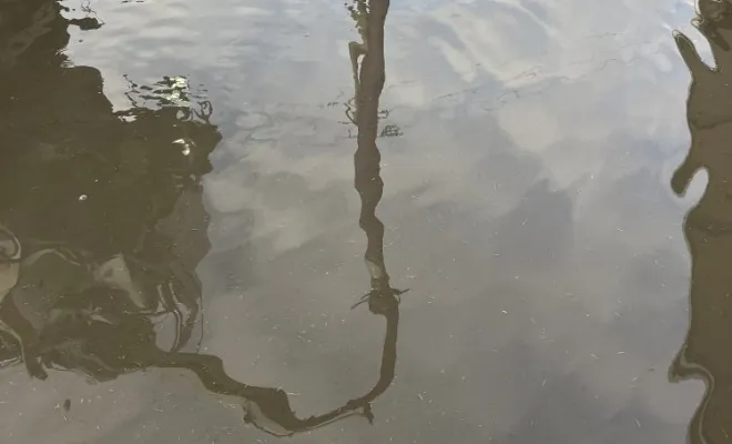 Pompage de flaque d 'eau et nettoyage de puits perdu dans une entreprise à Grenay, Vaulx-Milieu, JP ASSAINISSEMENT