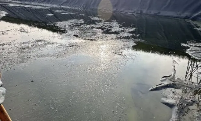 Vidange et nettoyage d'un bassin de décantation dans une entreprise à Pont Evèque, Vaulx-Milieu, JP ASSAINISSEMENT